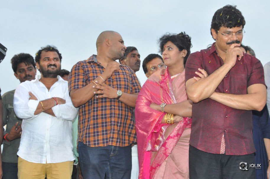 Jaya-Janaki-Nayaka-Movie-Vijayotsava-Veduka-At-Hamsala-Deevi